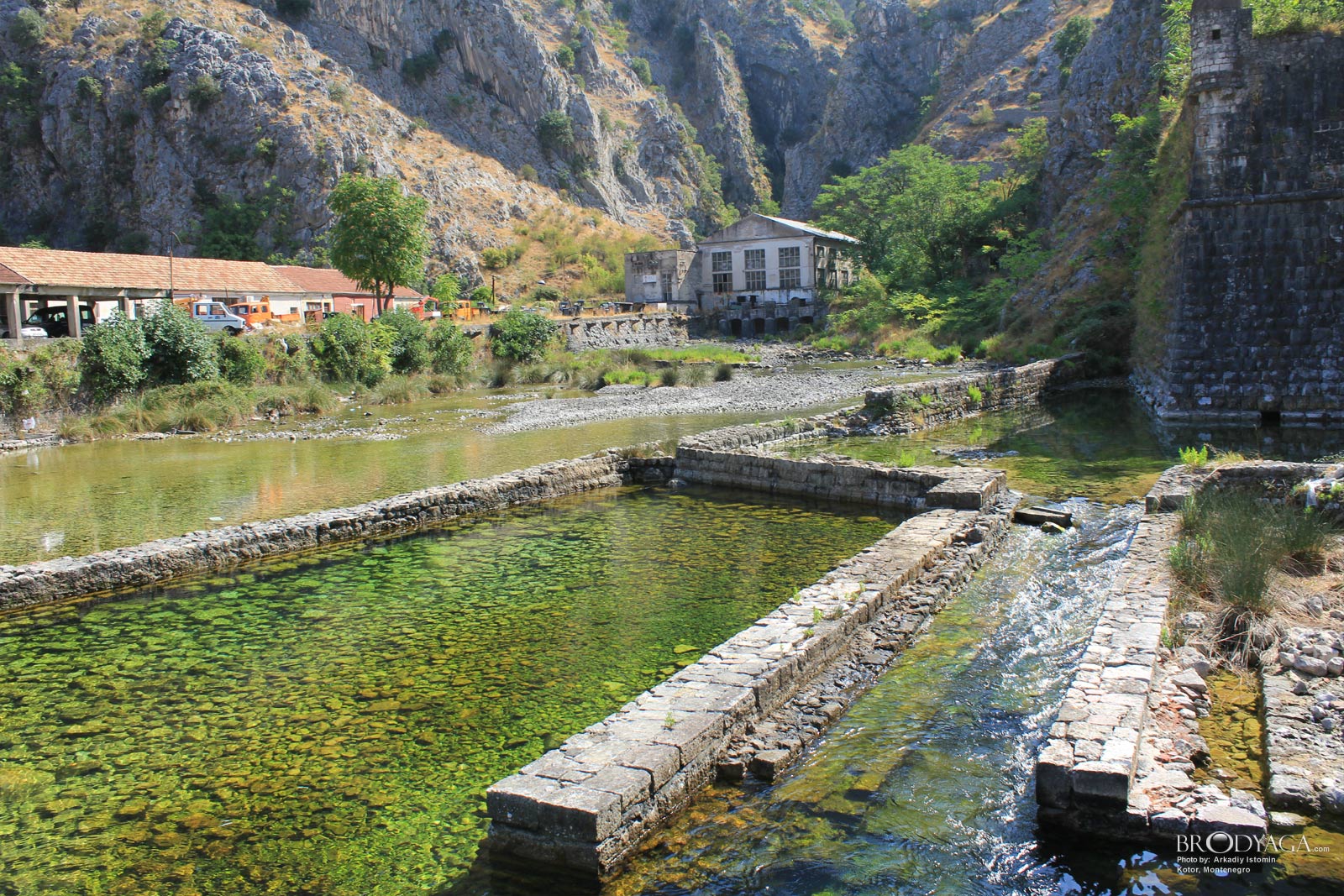 Kotor
